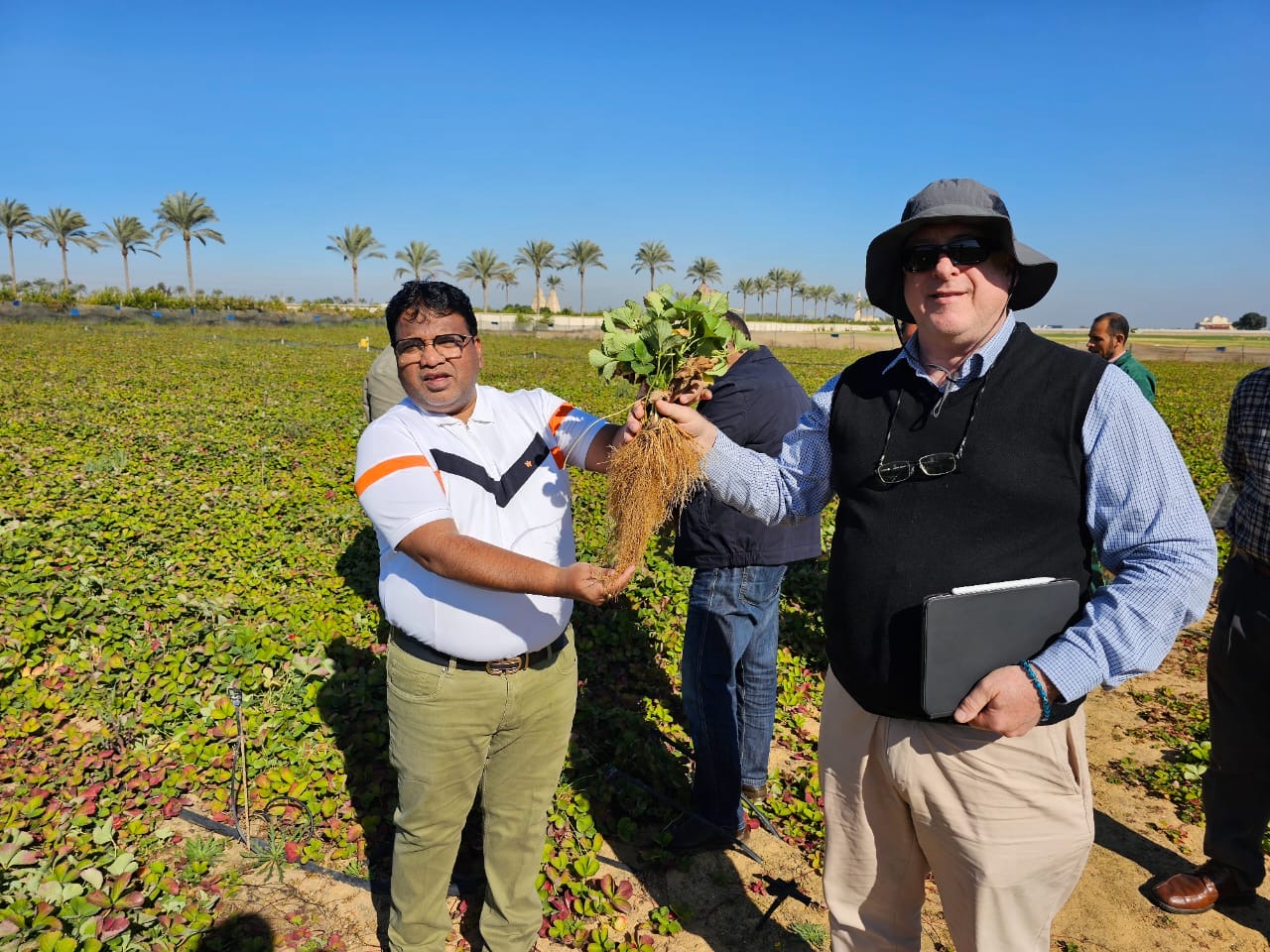 CalPac Egypt – EMCO CAL